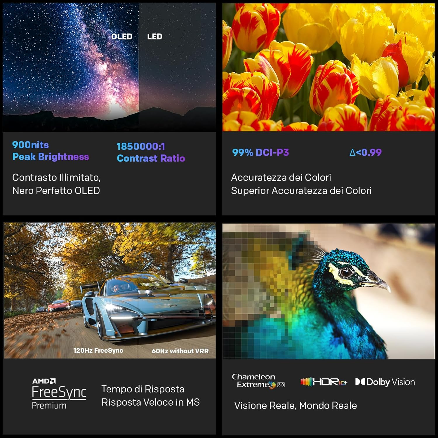 Cielo OLED vs. LED, tulipani, auto, pavone. Luminosità, contrasto, accuratezza colore, frame rate.