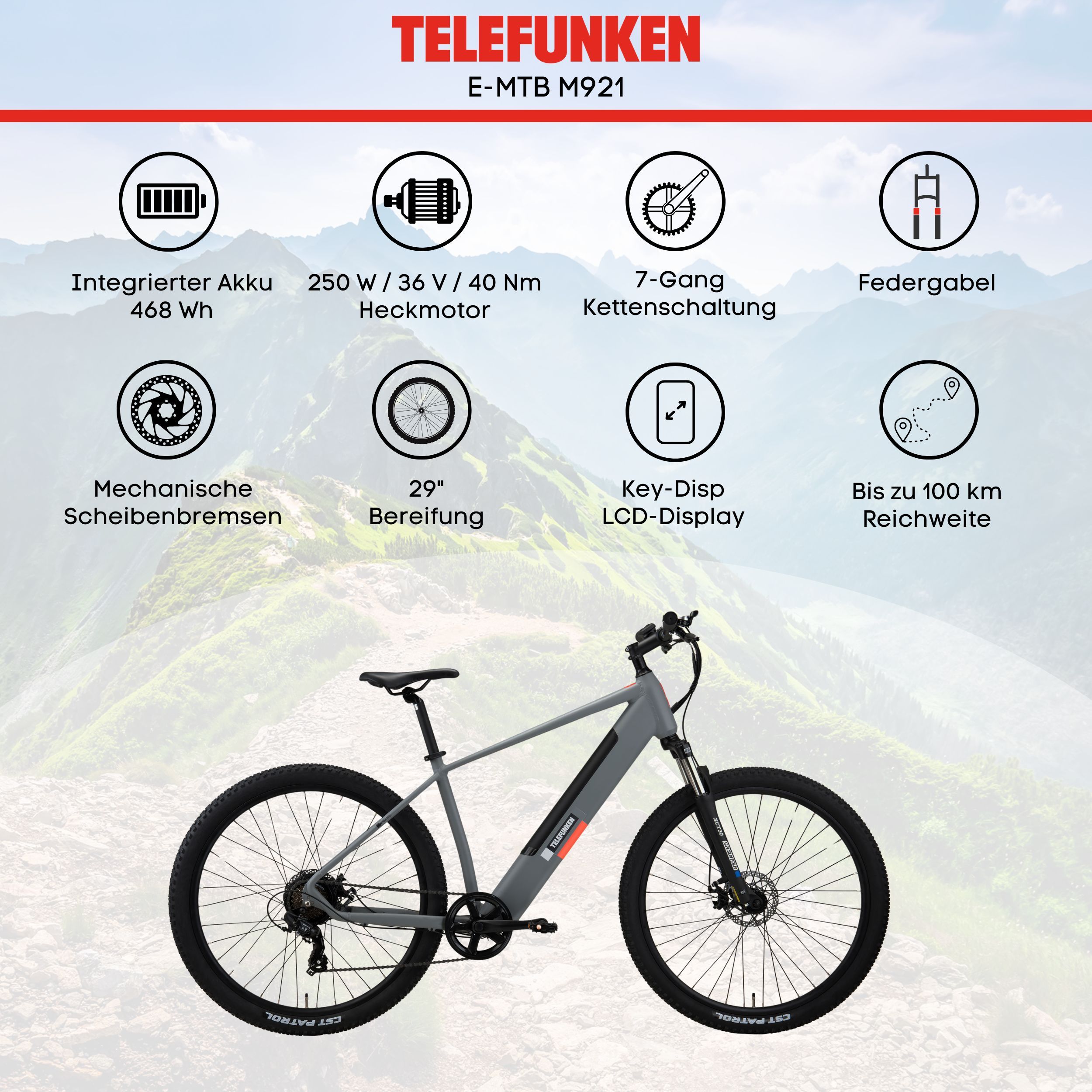 Graues Telefunken E-MTB M921 mit Berg-Skyline und technischen Merkmalen.