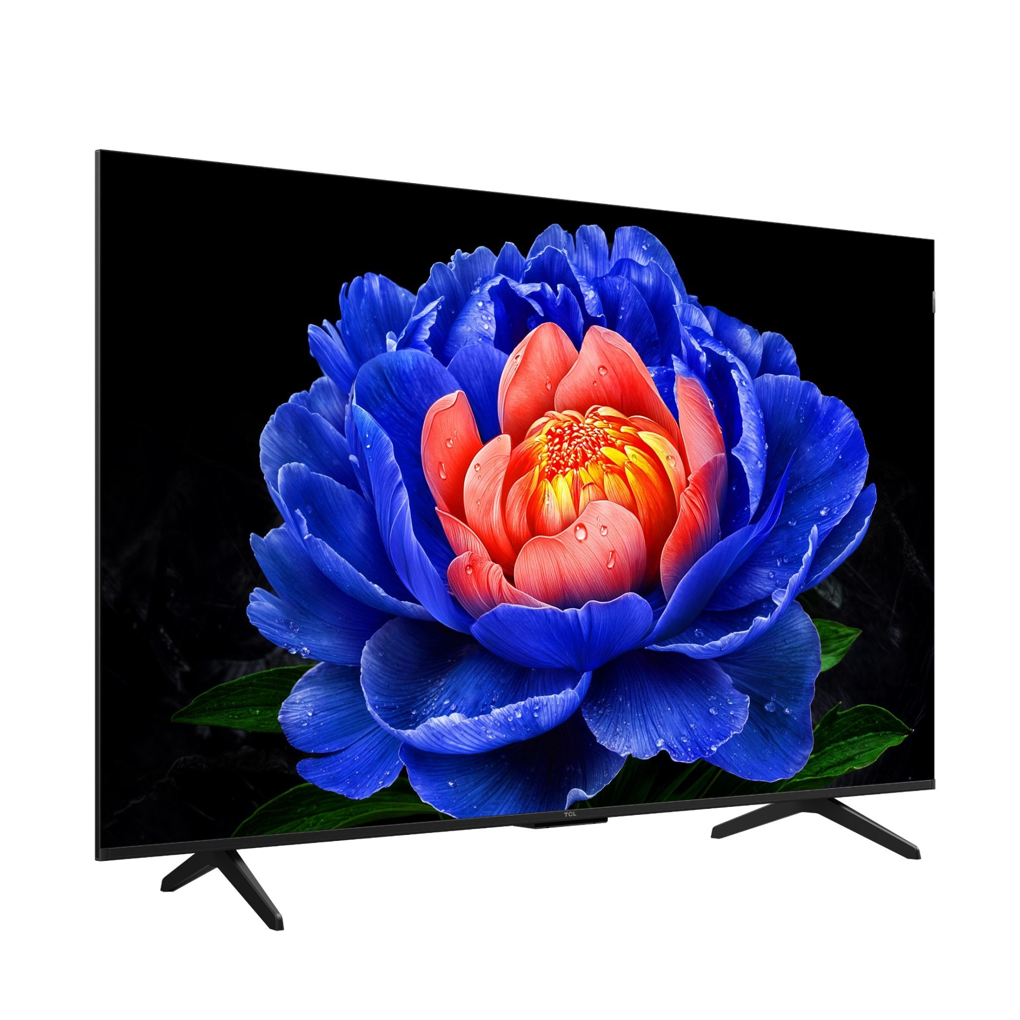 Modern bir TV, mavi ve kırmızı yapraklı canlı bir çiçek görüntüsü sergiliyor.