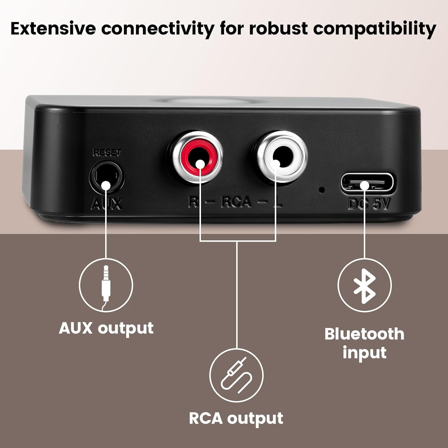 Schwarzes Gerät mit AUX-, RCA- und DC-5V-Anschlüssen, Reset-Taste.