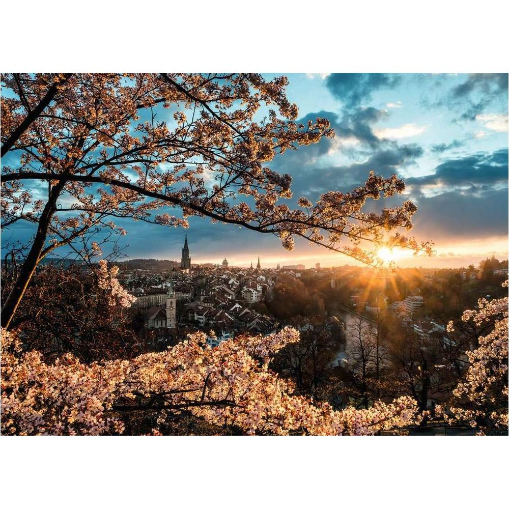 Coucher de soleil sur une ville avec des cerisiers en fleurs au premier plan.