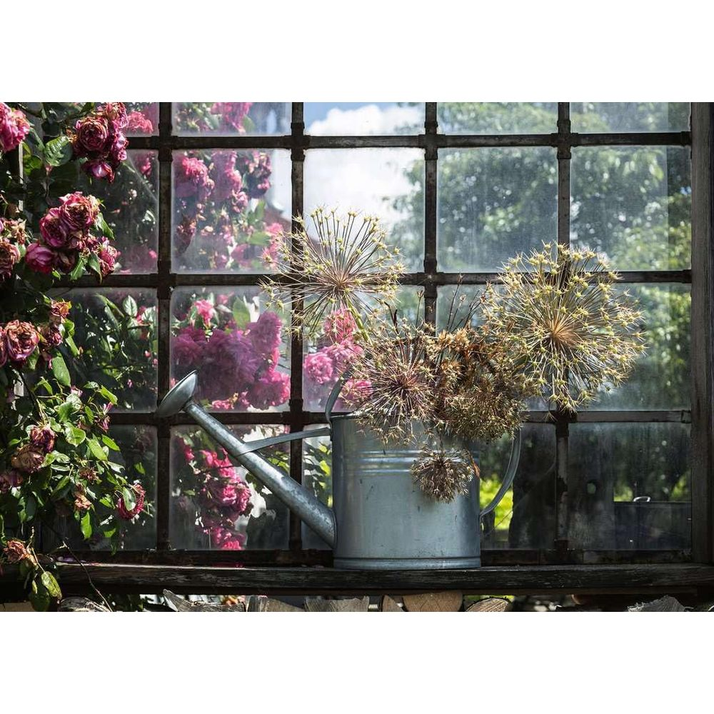 Un arrosoir avec des fleurs séchées devant une fenêtre avec des roses.