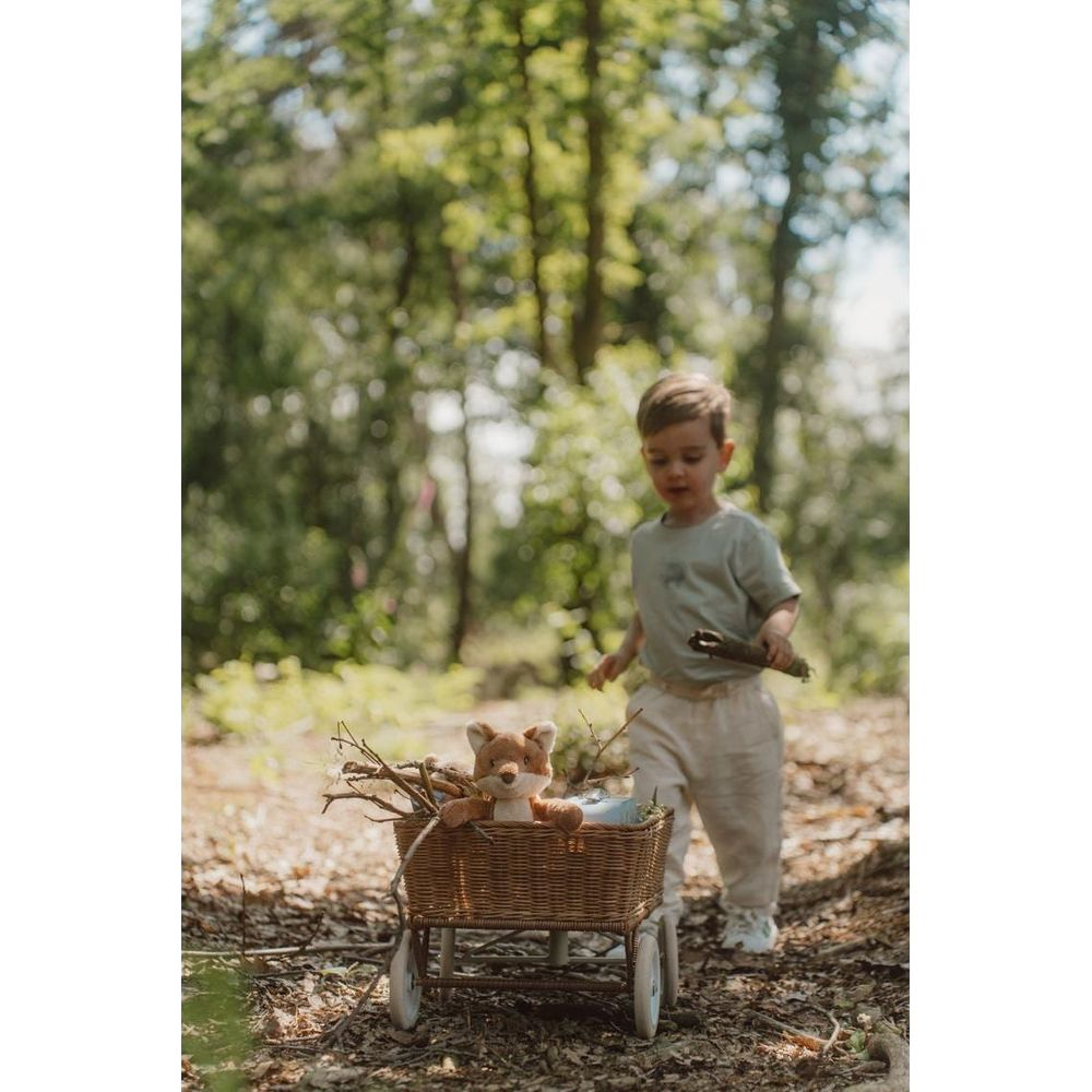 Un garçon tire un chariot à panier avec un jouet renard et des bâtons dans une forêt.