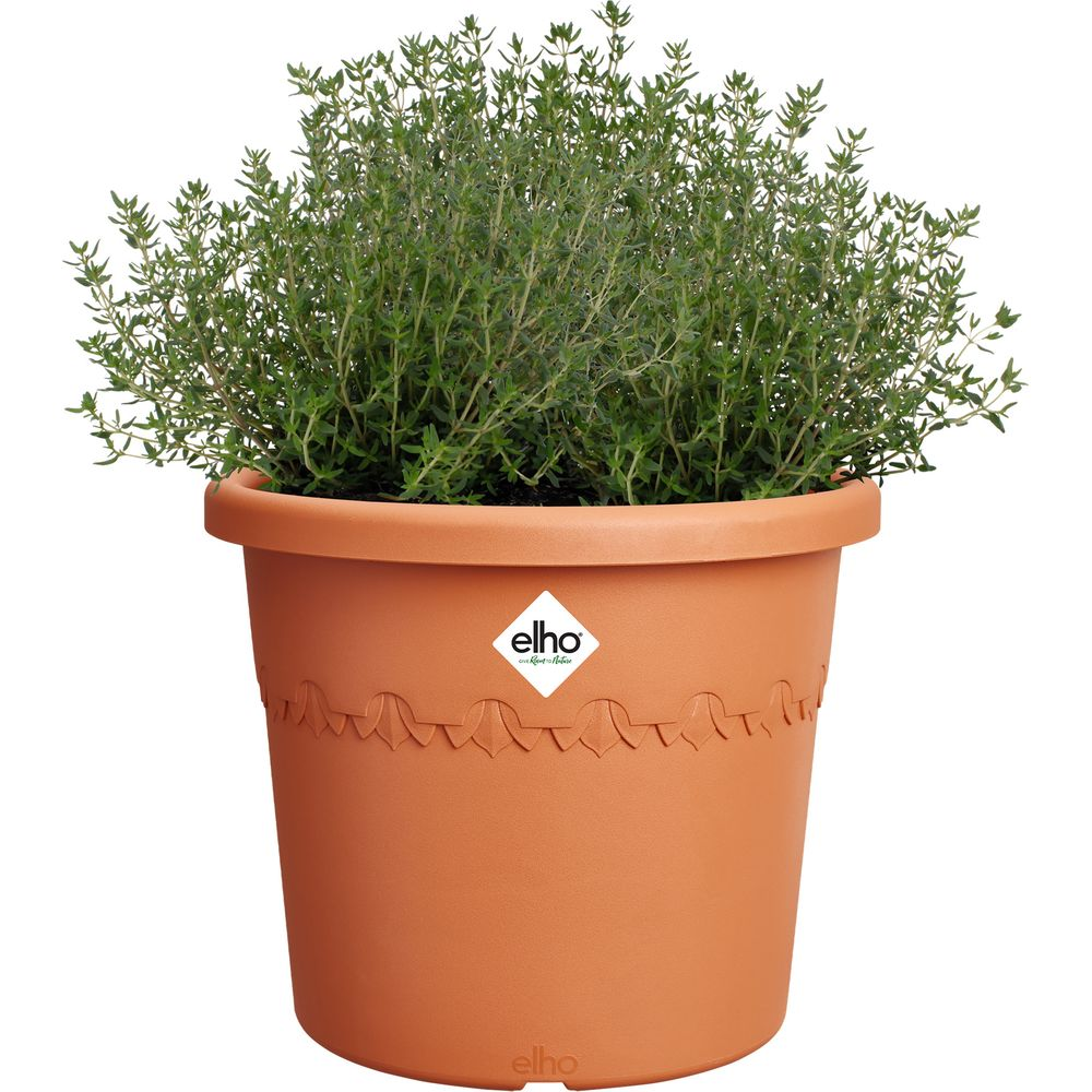 Ein brauner Blumentopf mit grüner Pflanze und dem Elho-Logo.