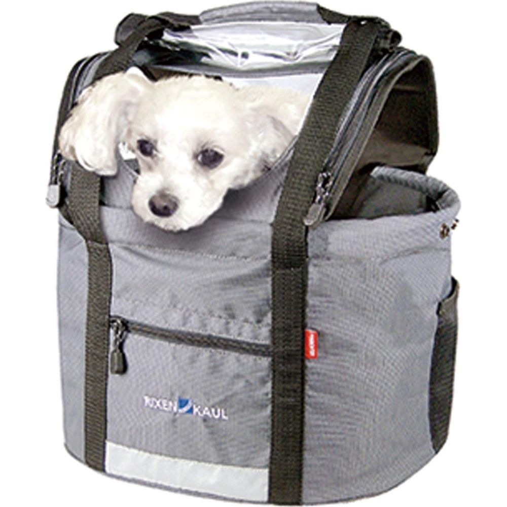 Ein kleiner weißer Hund schaut aus einer grauen Tasche mit schwarzen Trägern.