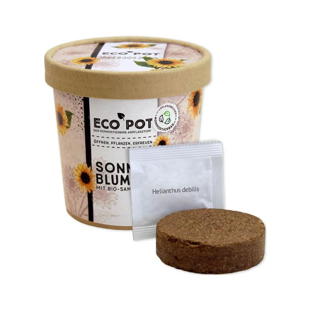 Eco Pot avec motif tournesol, sachet de graines et terre de coco.