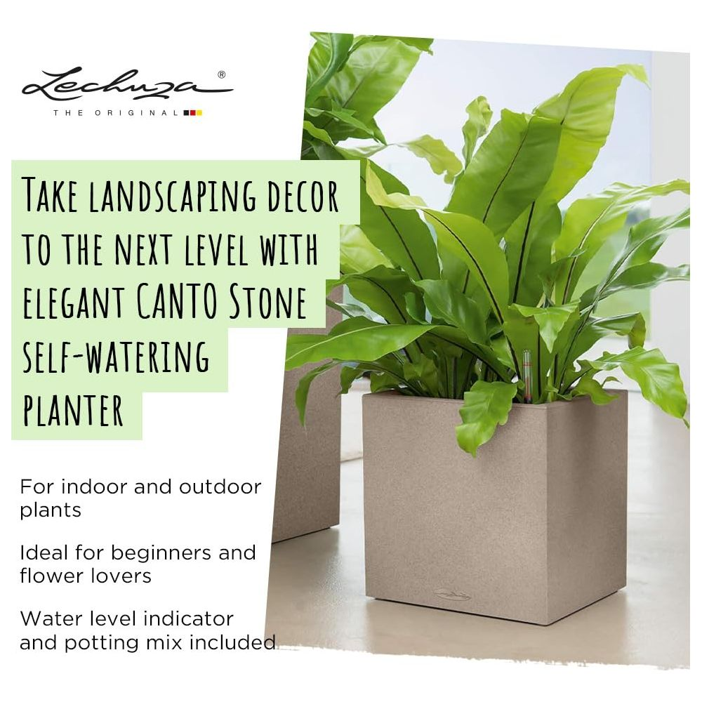 Jardinière Lechuza Canto Stone grise avec plante verte. Texte promotionnel.