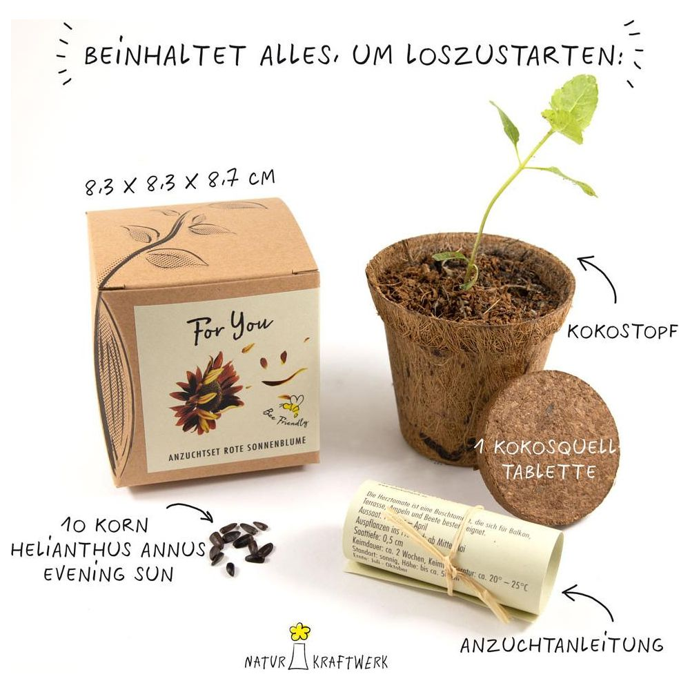 Un set da coltivazione con semi di girasole, vaso di cocco, compressa di cocco e istruzioni.