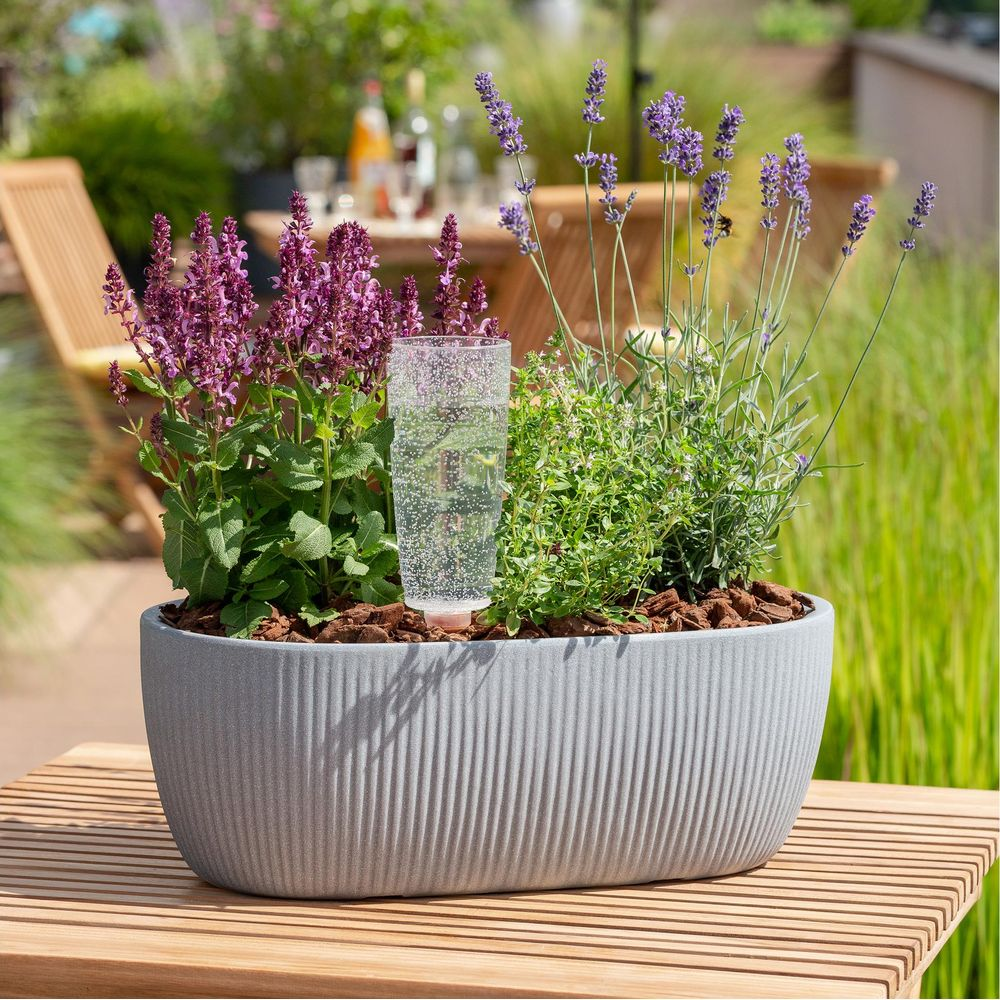 Grauer Pflanzkübel mit Lavendel, Salbei und Wasserspender auf Holztisch.