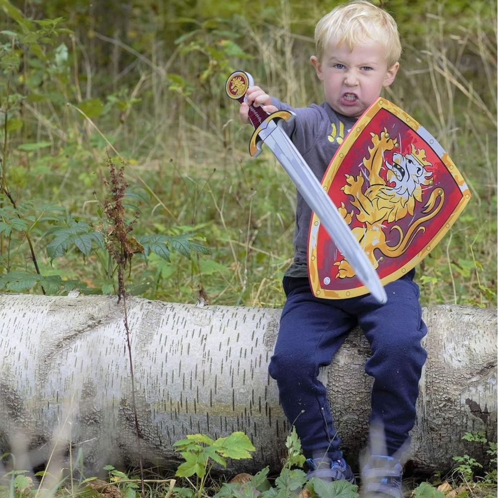 Un bambino seduto su un tronco, con spada e scudo giocattolo, dall'aria determinata.