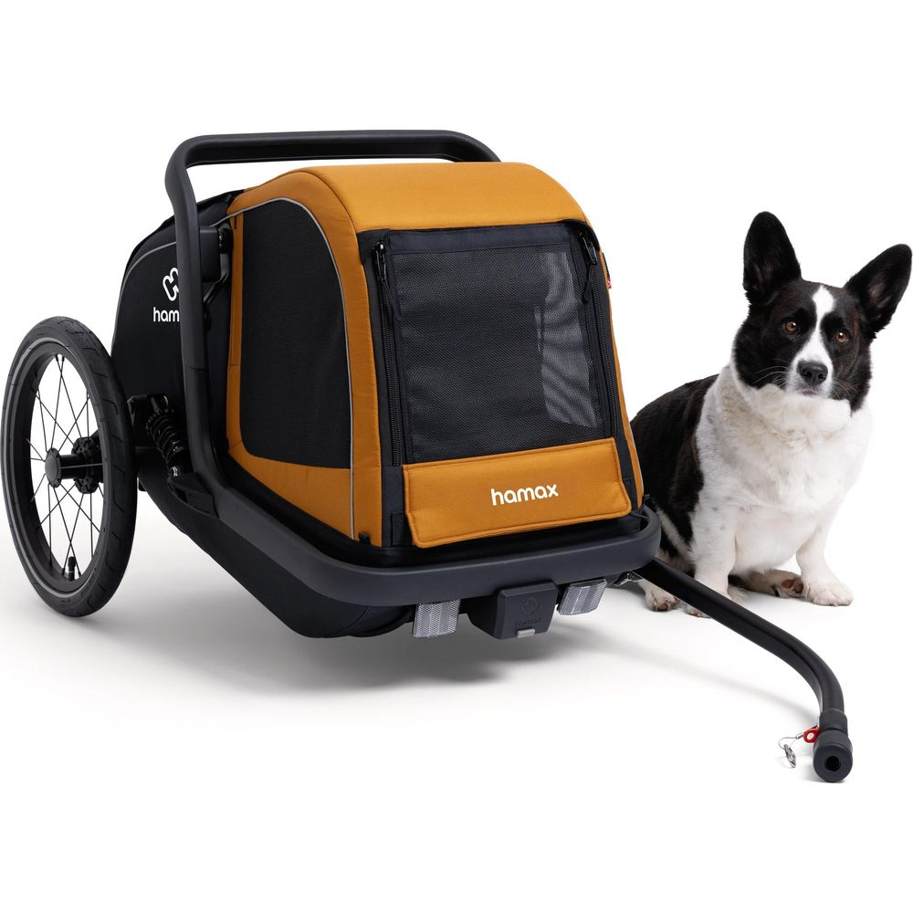 Ein schwarzer und weißer Hund sitzt neben einem orangefarbenen und schwarzen Kinderwagen für Haustiere.