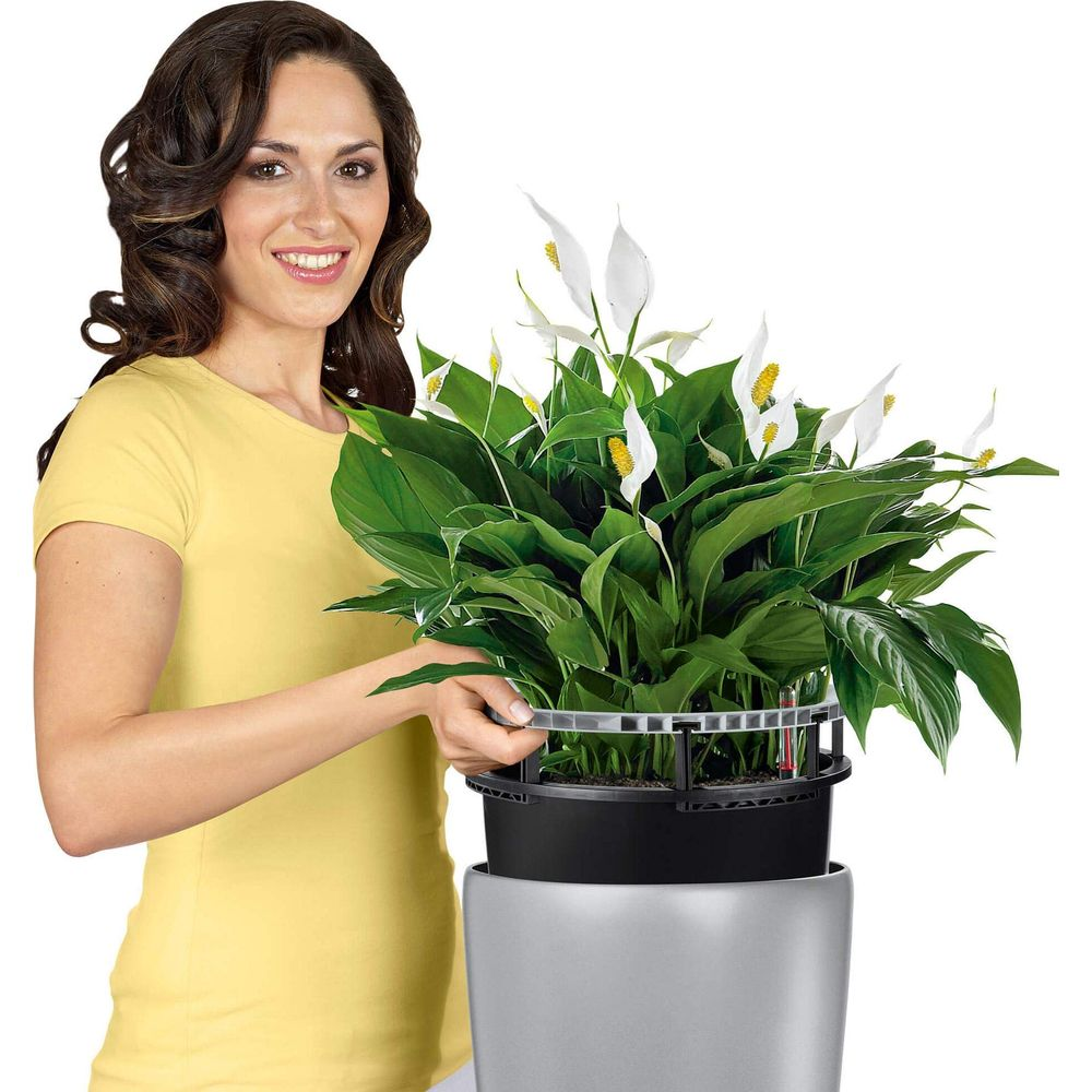 Frau in gelbem Oberteil hält einen großen Topf mit einer blühenden Spathiphyllum-Pflanze.
