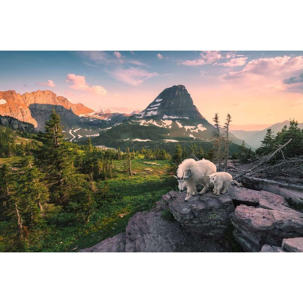 Deux chèvres sur des rochers, avec des montagnes et un coucher de soleil en arrière-plan.