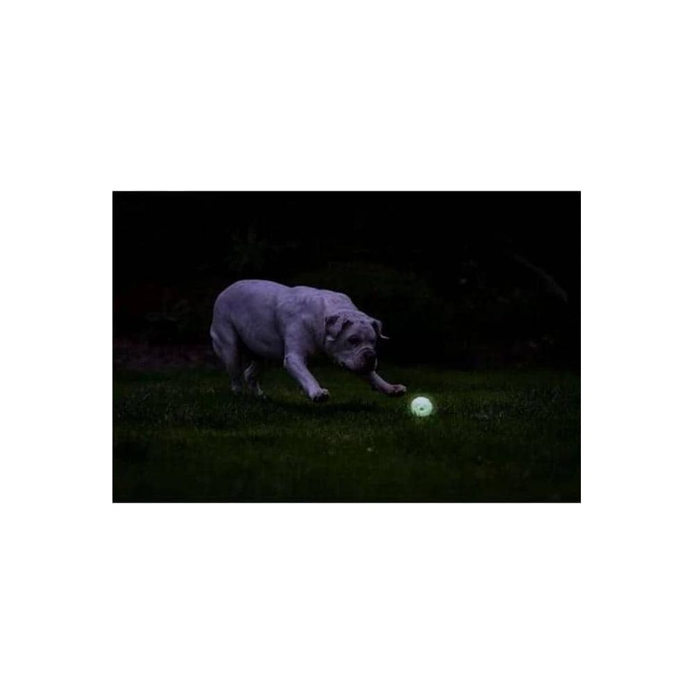 Ein weißer Bulldogge spielt nachts mit einem leuchtenden Ball auf einem dunklen Rasen.
