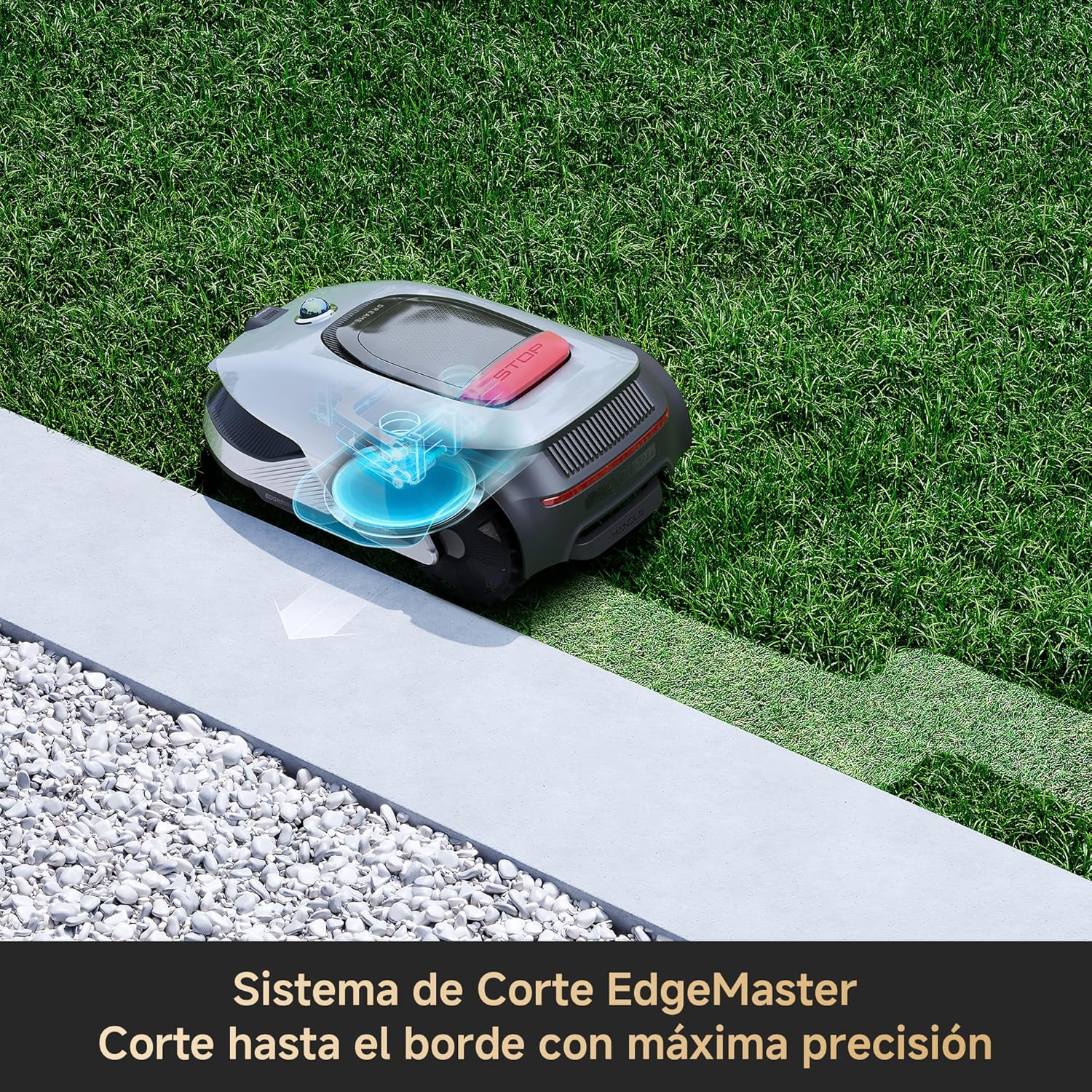 Un robot cortacésped corta el césped junto a una acera y grava.