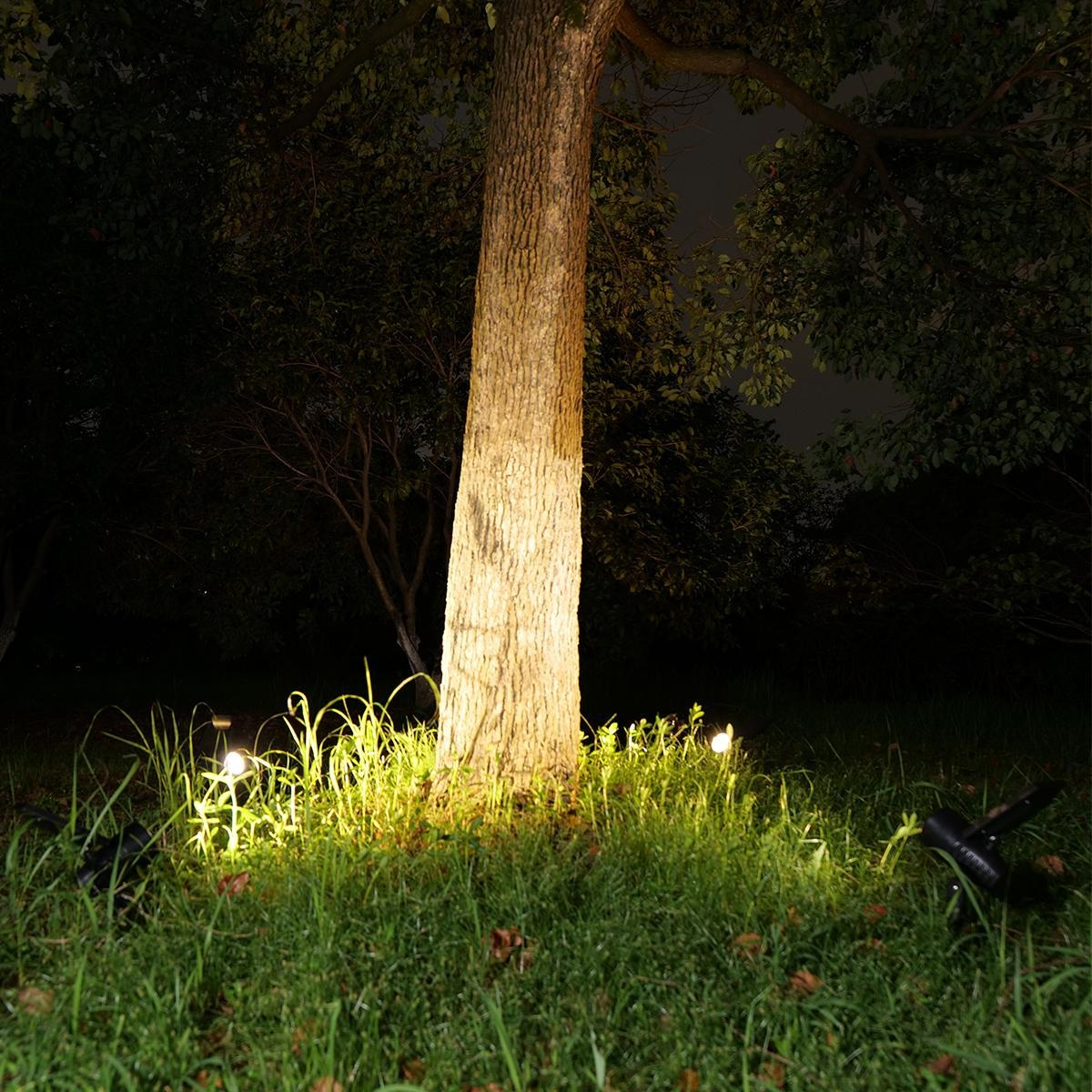 Ein beleuchteter Baumstamm im Dunkeln mit Scheinwerfern im Gras.