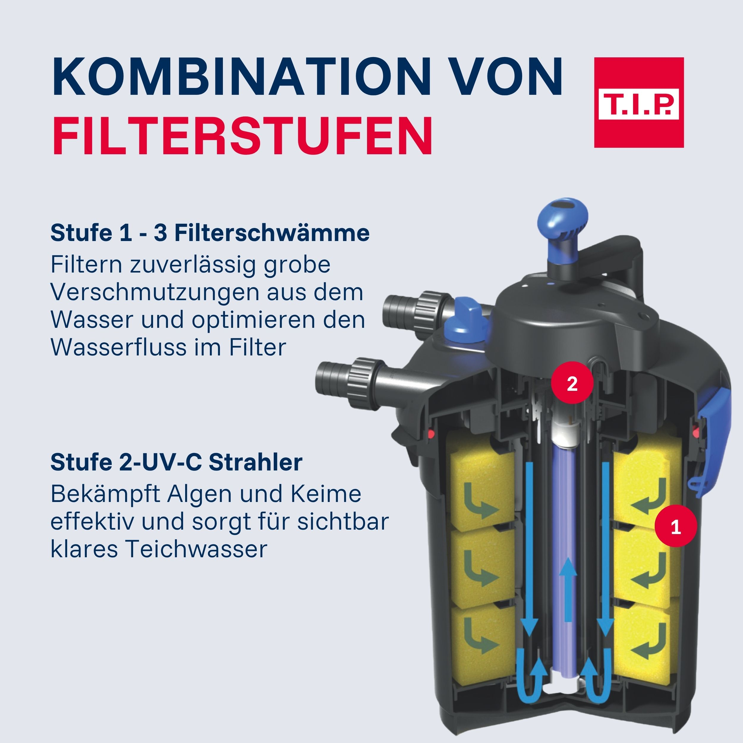 Ein Teichfilter mit Schwämmen und UV-C-Strahler, der Wasser reinigt. Beschriftung erklärt Stufen.
