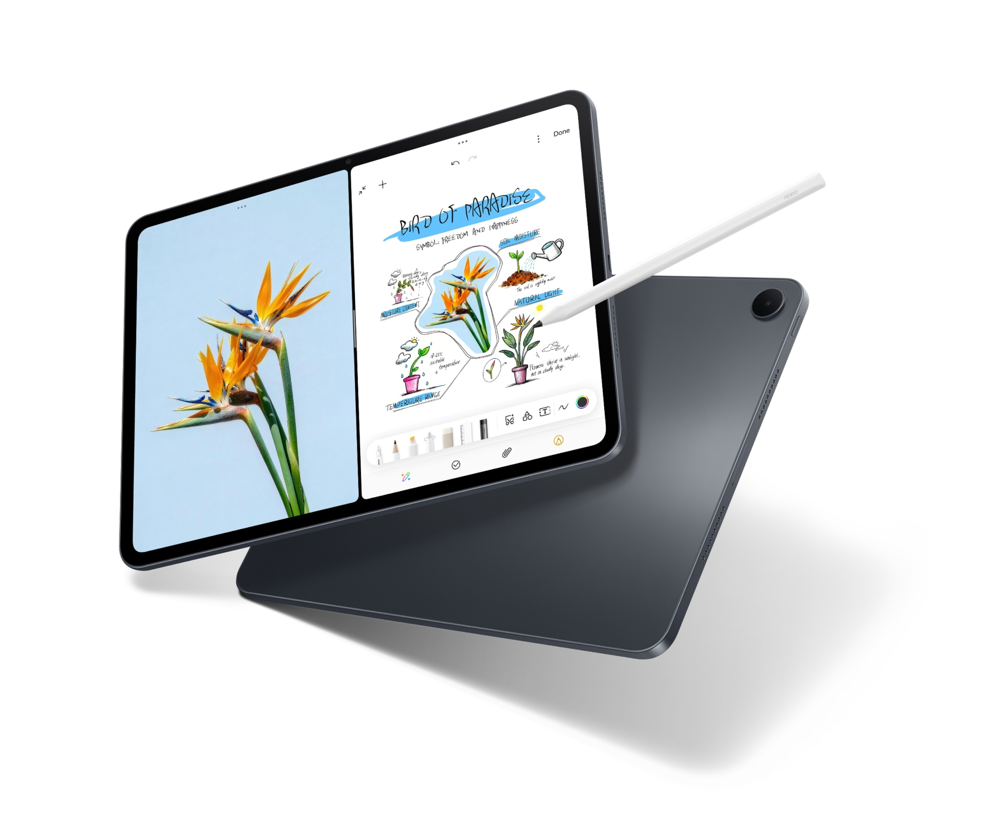 Ein Tablet zeigt links eine Paradiesvogelblume und rechts Notizen zu deren Pflege.