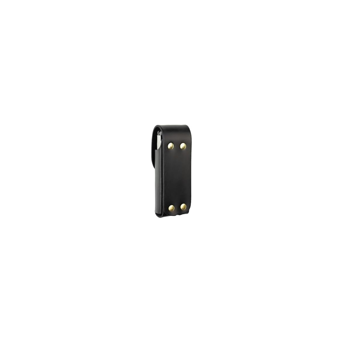 Schwarze Lederholster mit goldenen Nieten, auf weißem Hintergrund.