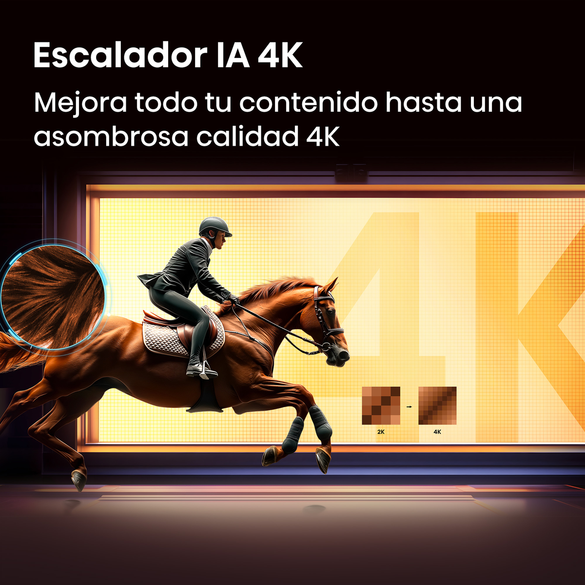 Un cavalier en noir sur un cheval brun saute devant un logo géant 4K.