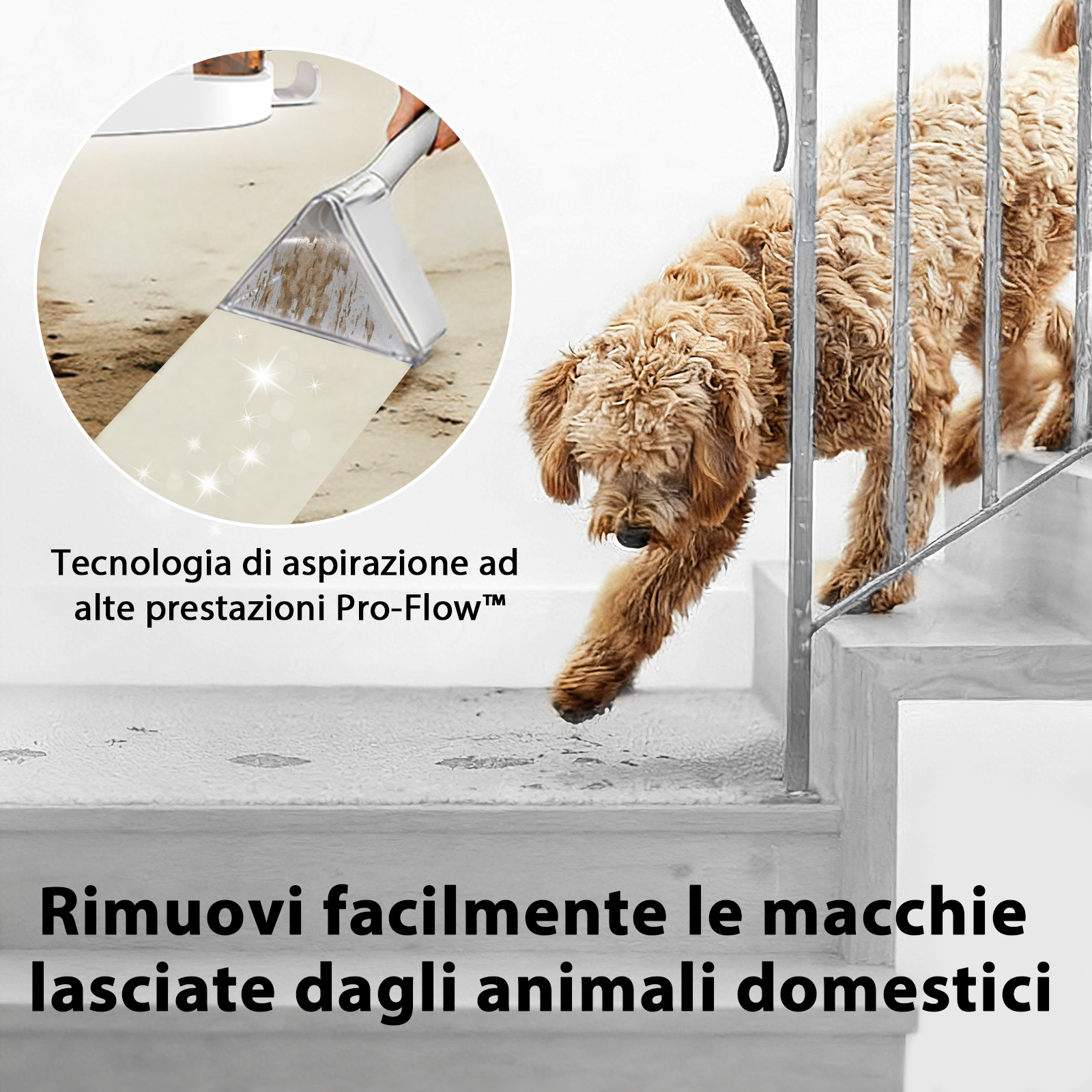 Un cane sale le scale mentre si usa un smacchiatore.