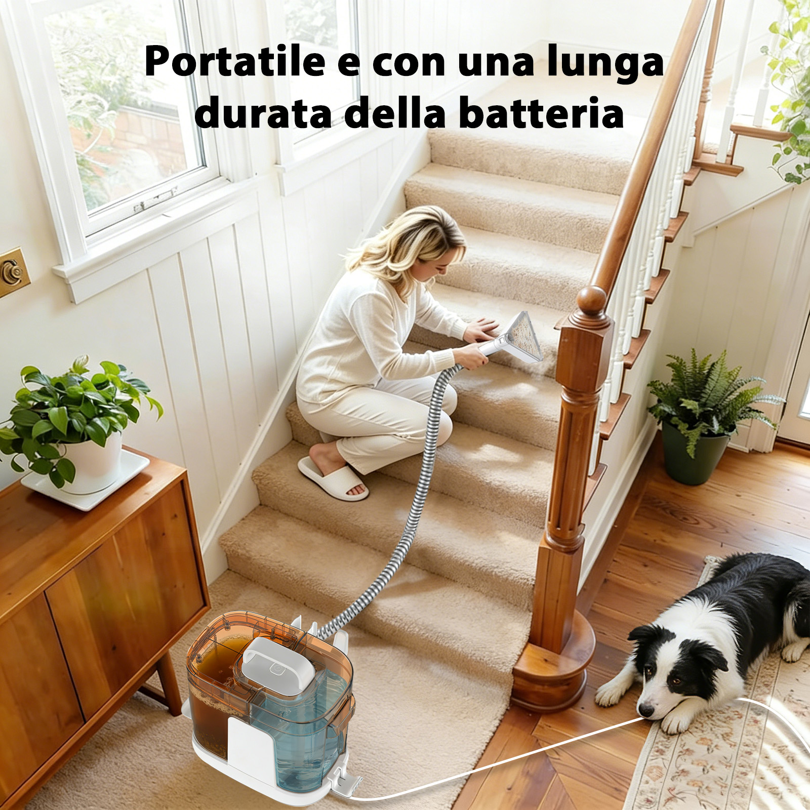 Donna pulisce scale con pulitore a vapore, cane riposa vicino.