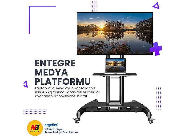 ERGOFLEX North Bayou AVA1500-60-1P Tekerlekli Profesyonel TV
