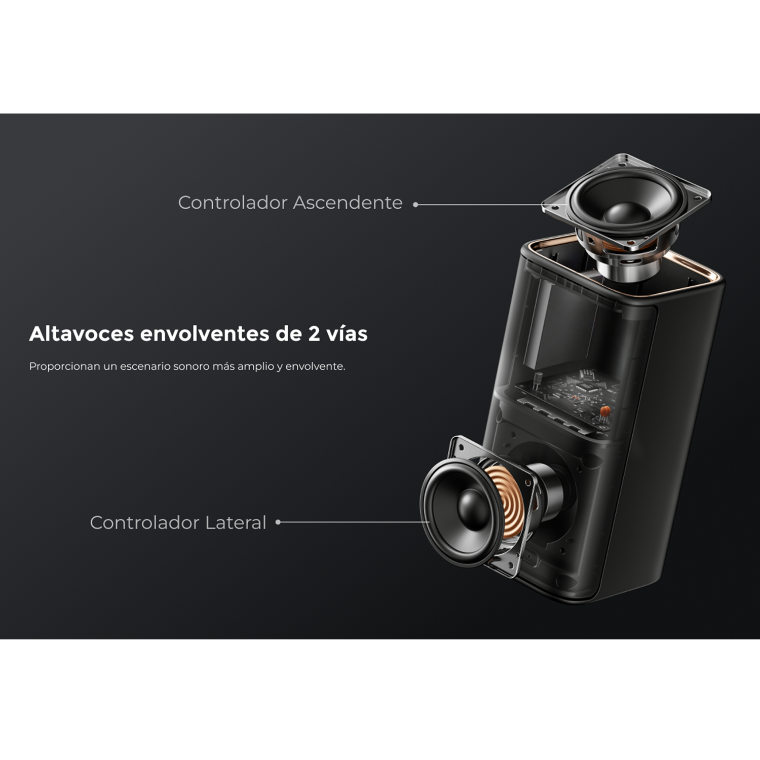 Una vista en corte de altavoz muestra controladores ascendente y lateral.