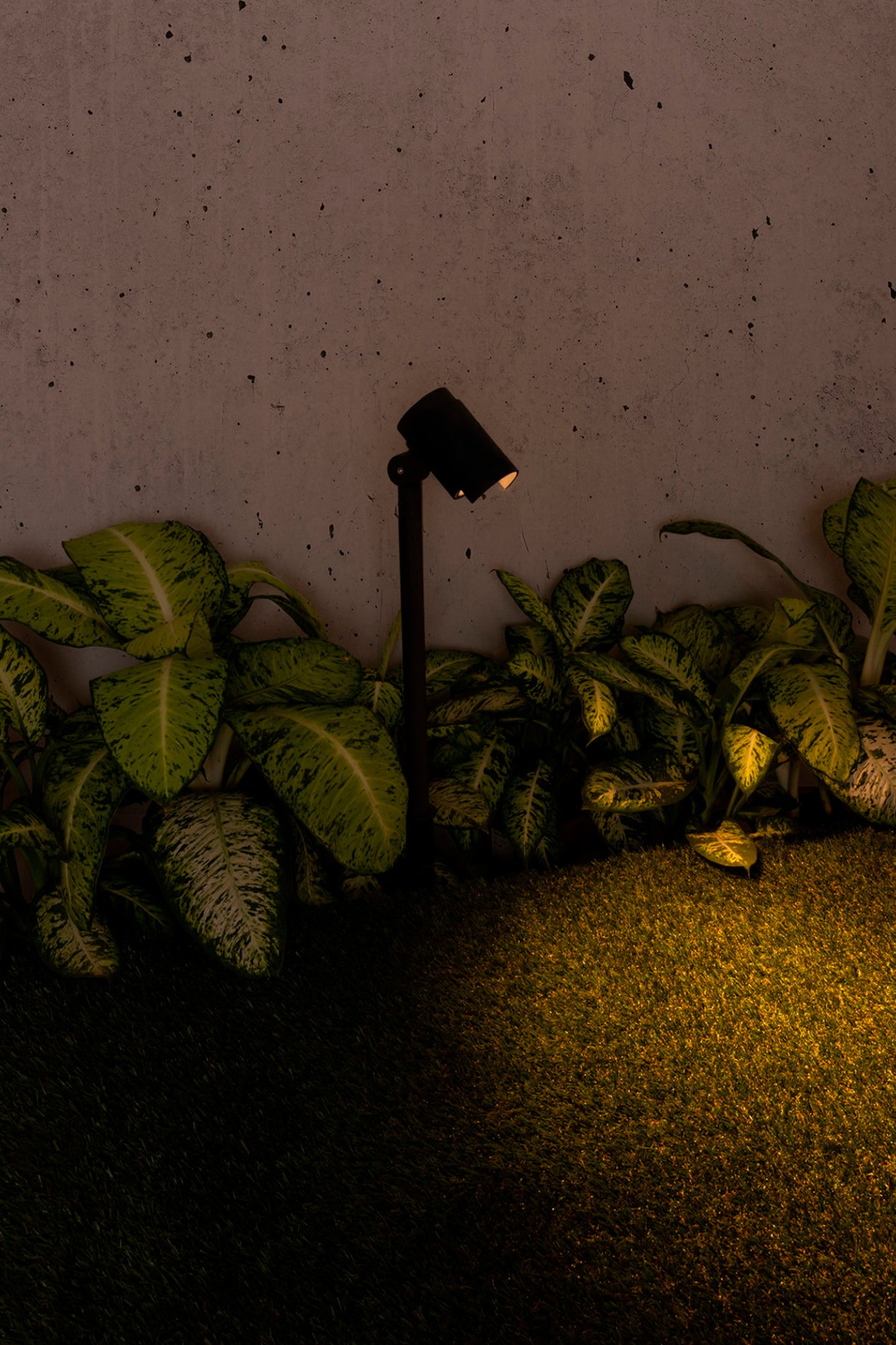 Un faretto nero illumina piante su un muro di cemento e prato artificiale.