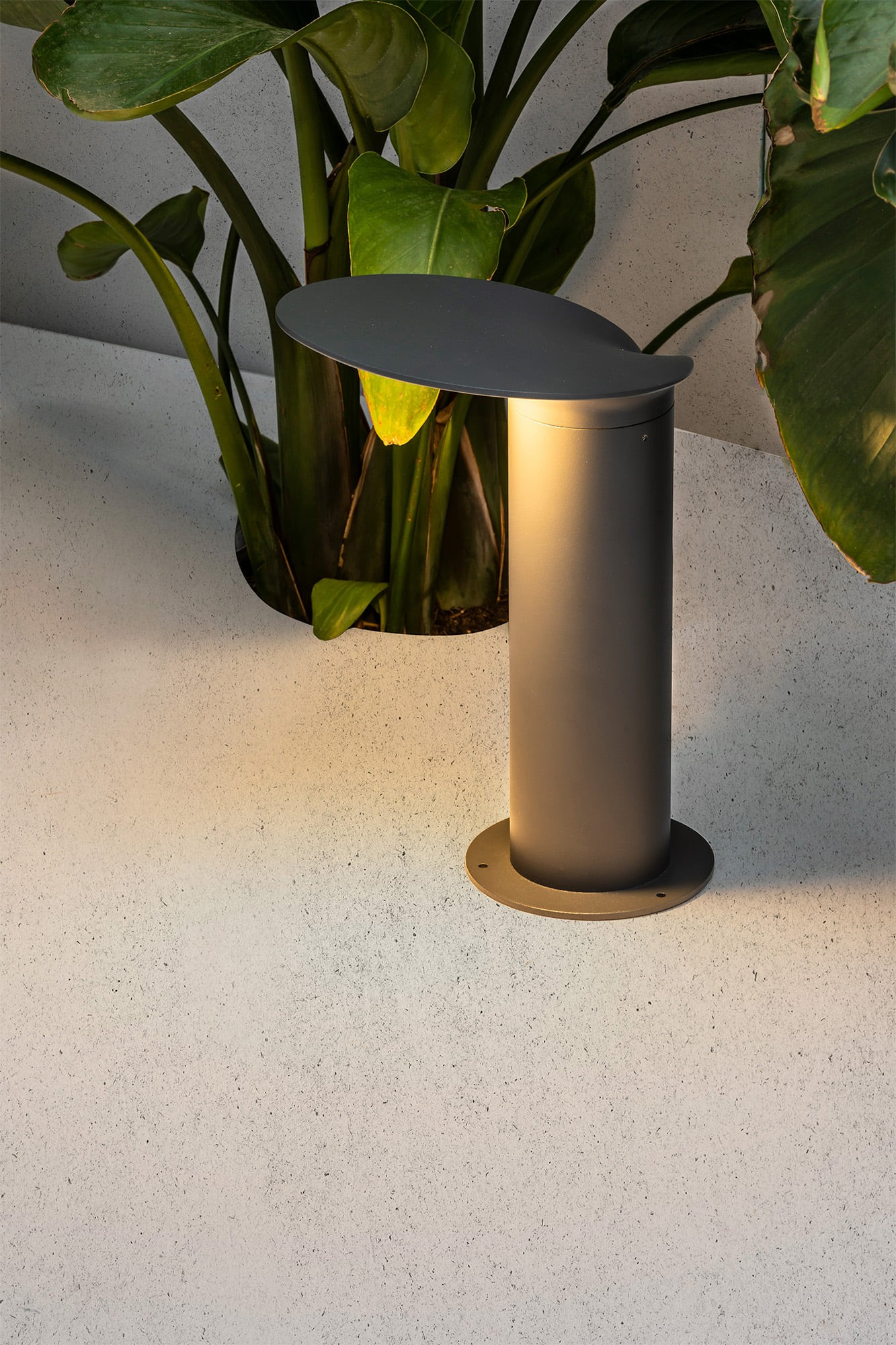 Un bollard grigio illumina una pianta accanto a un pavimento in cemento.