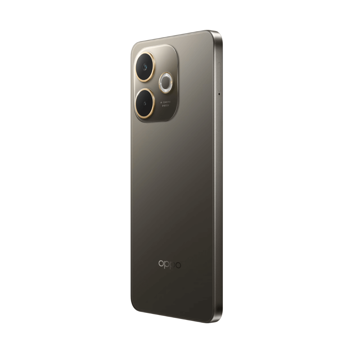 Vue arrière d'un smartphone gris avec appareil photo et logo Oppo.