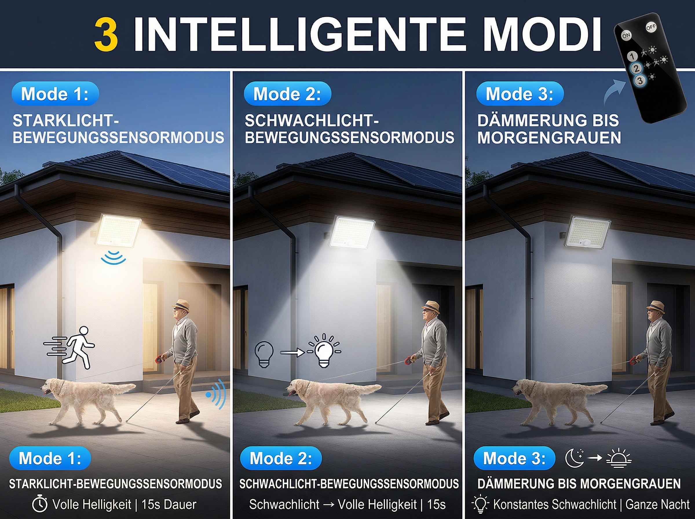 Mann und Hund bei Nacht, beleuchtet von drei verschiedenen Modi.