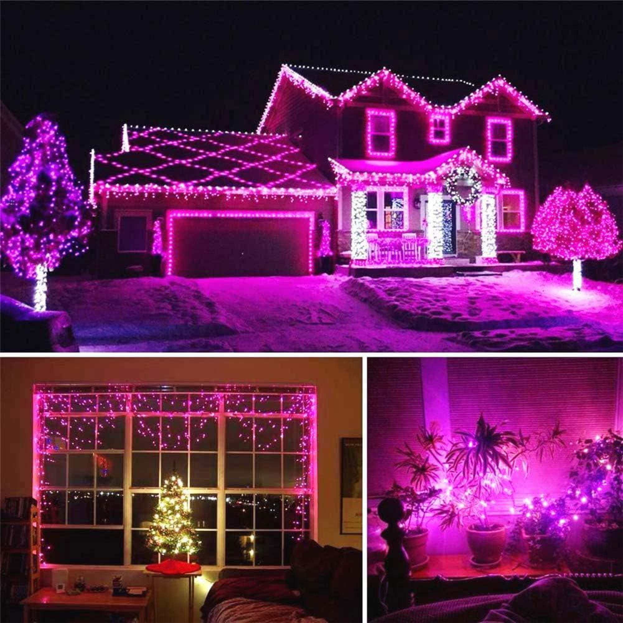 Haus und Bäume mit pinken Lichtern geschmückt, Innenansichten mit Lichtern.