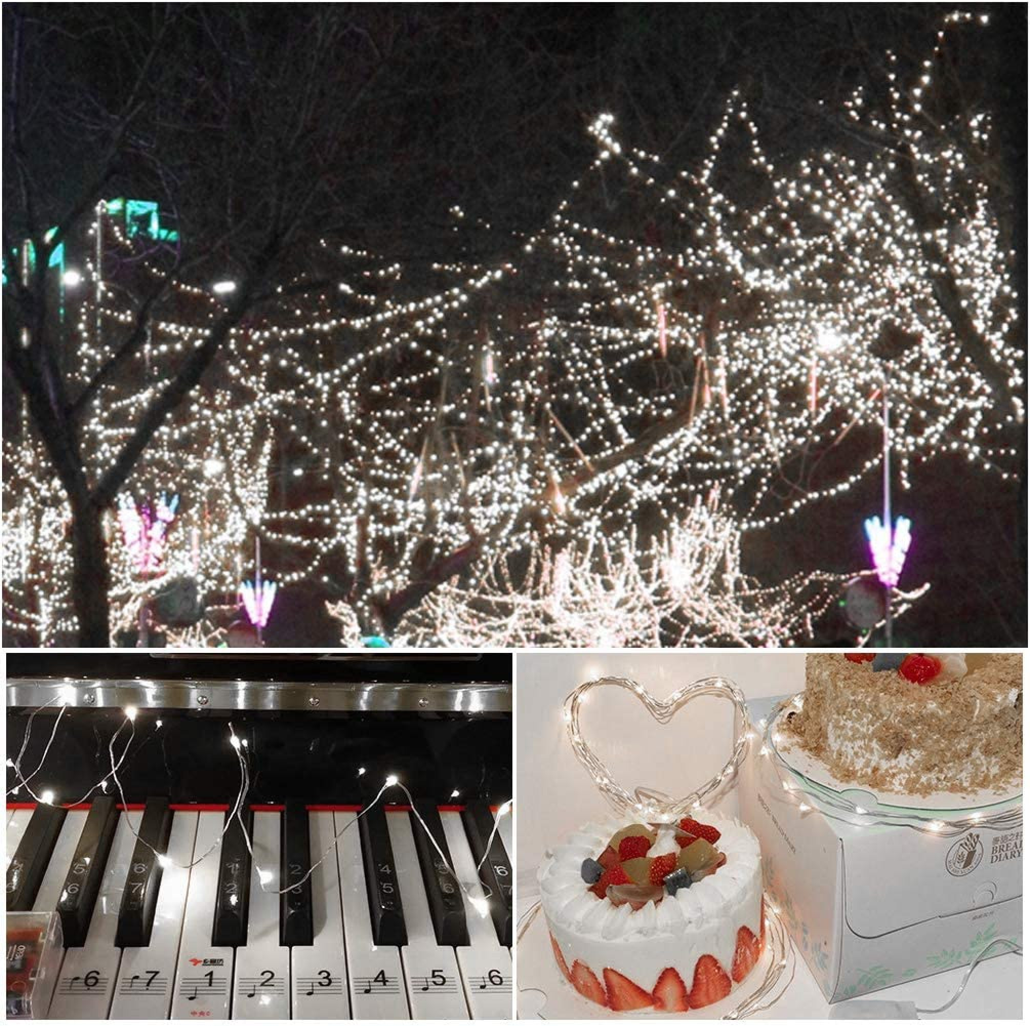 Bäume mit weißen Lichtern geschmückt, Klaviertasten mit Lichtern und zwei verzierte Kuchen.