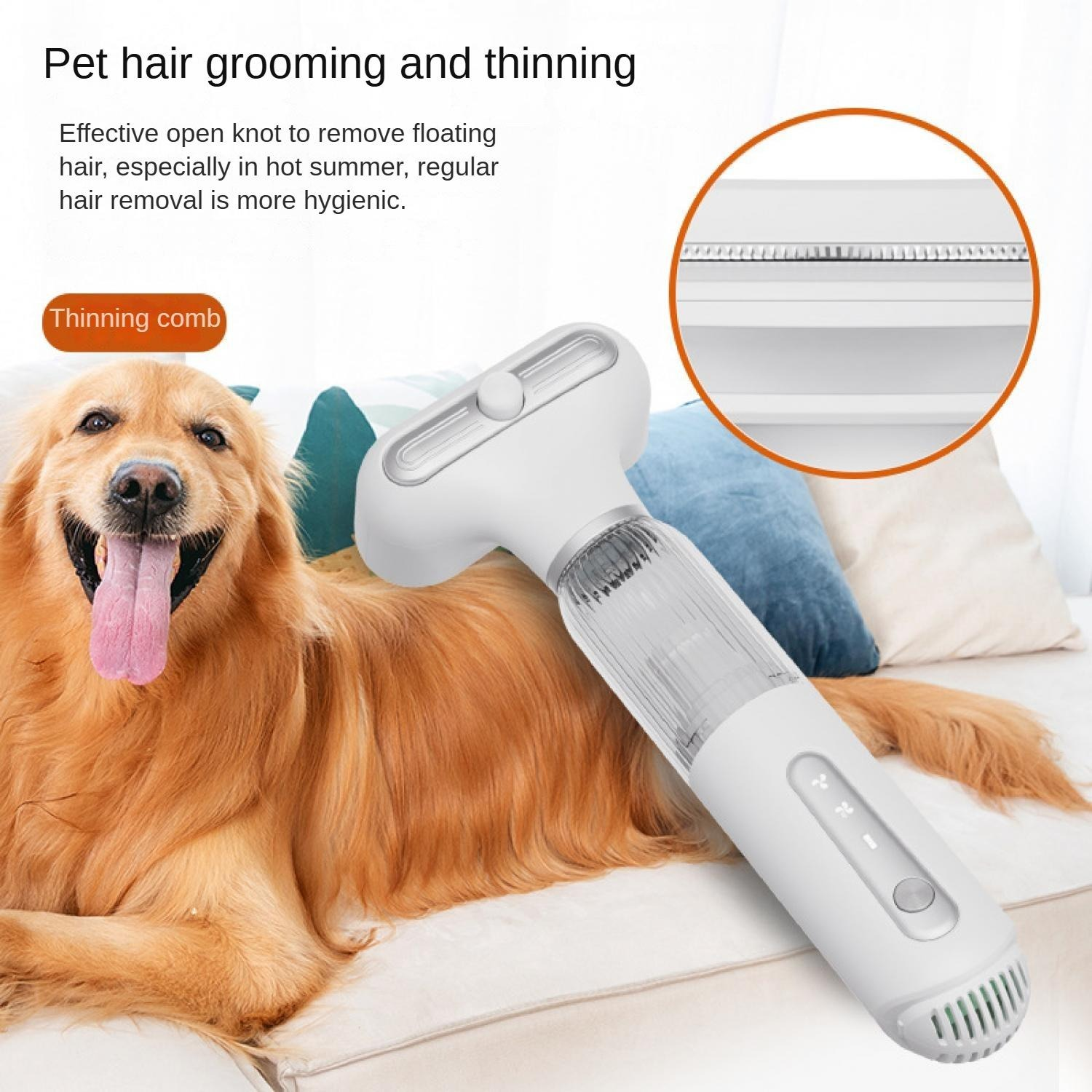 Golden Retriever mit Pflegekamm. Text: Haarpflege und Ausdünnung.