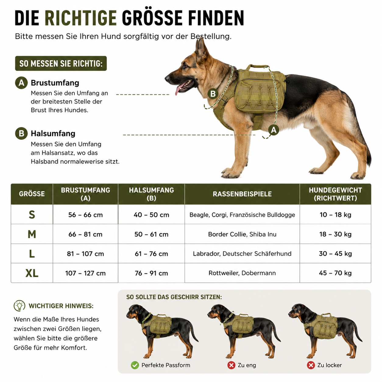 Größentabelle für Hundegeschirre: Maße, Rassen, Gewicht. Illustrationen zeigen richtige Passform.