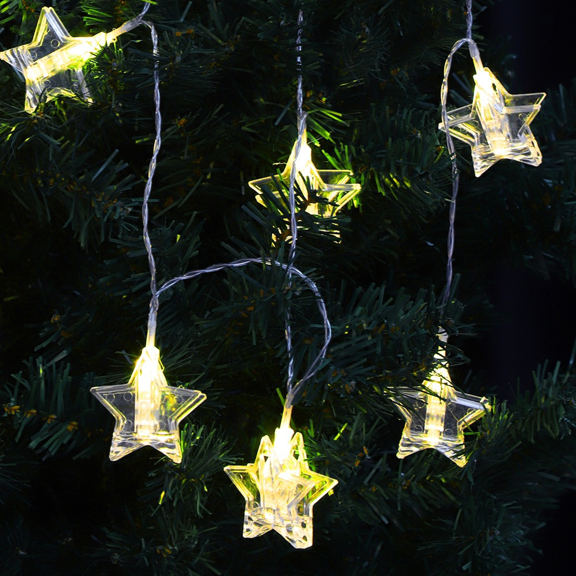 Transparente Sternlichter leuchten auf einem dunklen Weihnachtsbaum.
