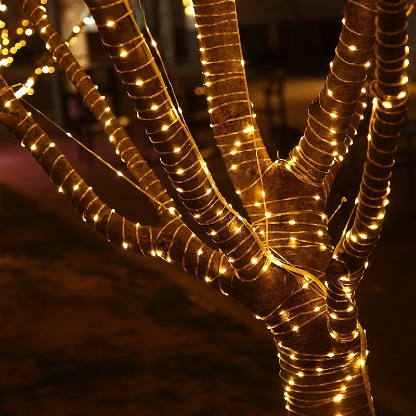 Ein Baumstamm ist mit vielen kleinen Lichtern im Dunkeln umwickelt.