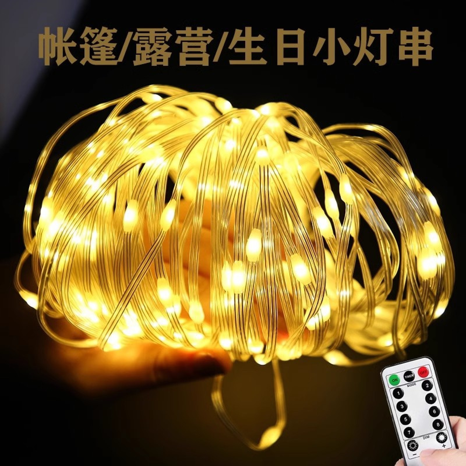 Eine Hand hält eine Schnur mit warmweißen LEDs, daneben eine Fernbedienung.