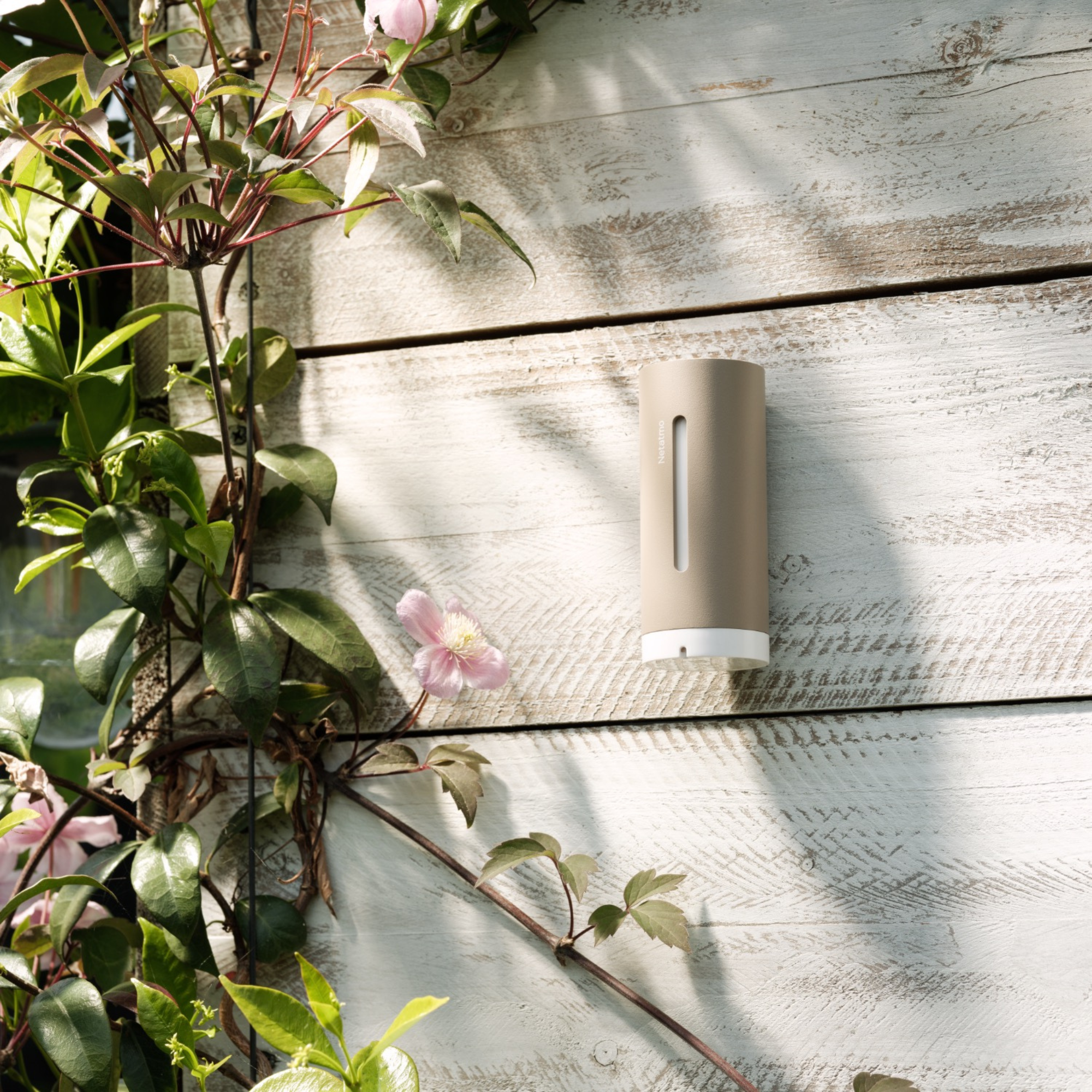 Een beige sensor gemonteerd op een houten muur naast een bloeiende plant.