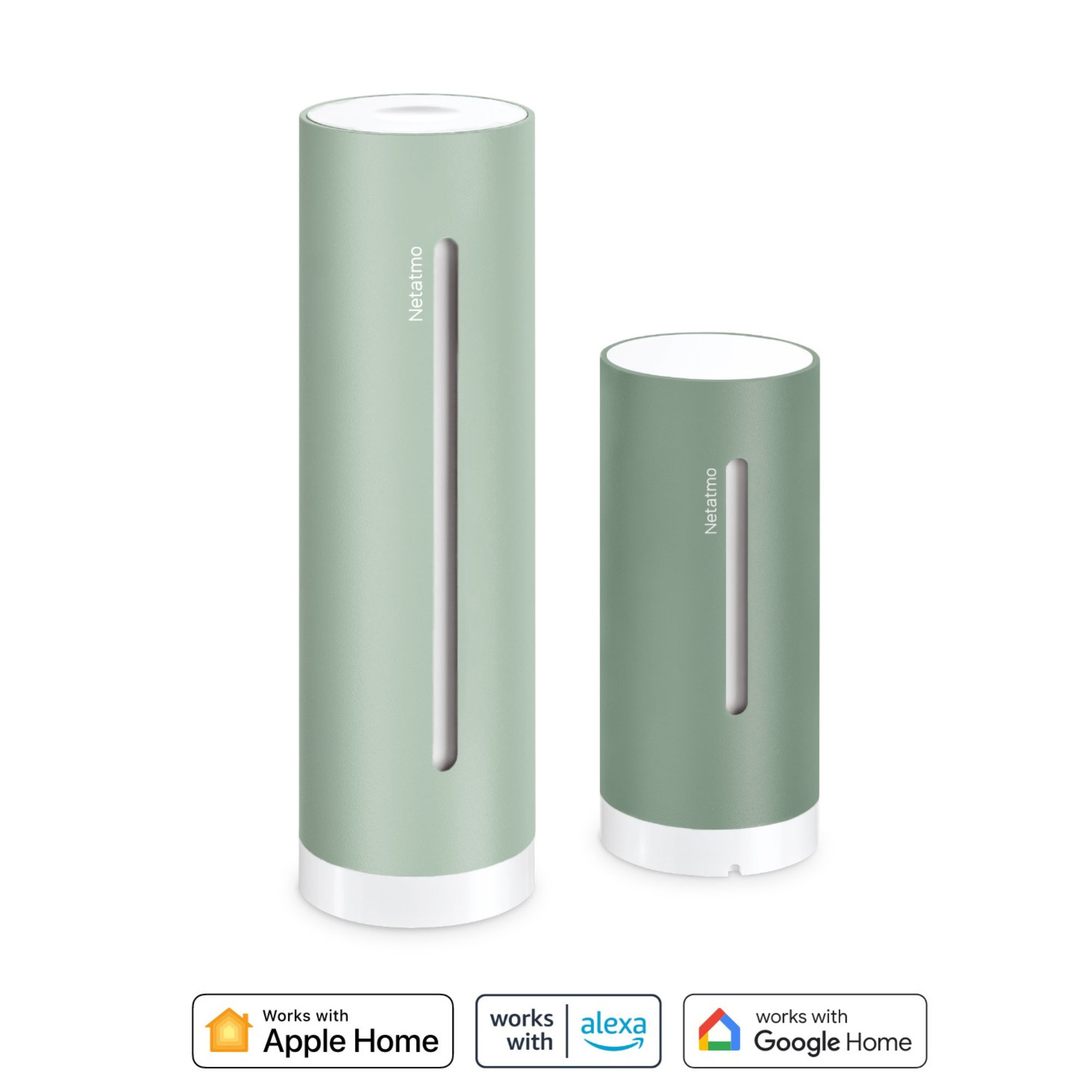 Deux appareils Netatmo verts côte à côte avec des dessus et des bases blancs.