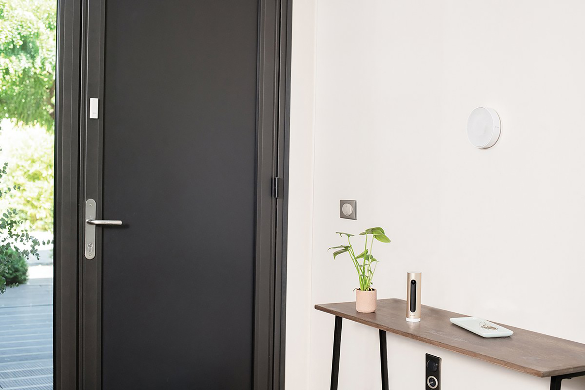 Porta scura con maniglia argentata, accanto un tavolo con pianta e dispositivo.