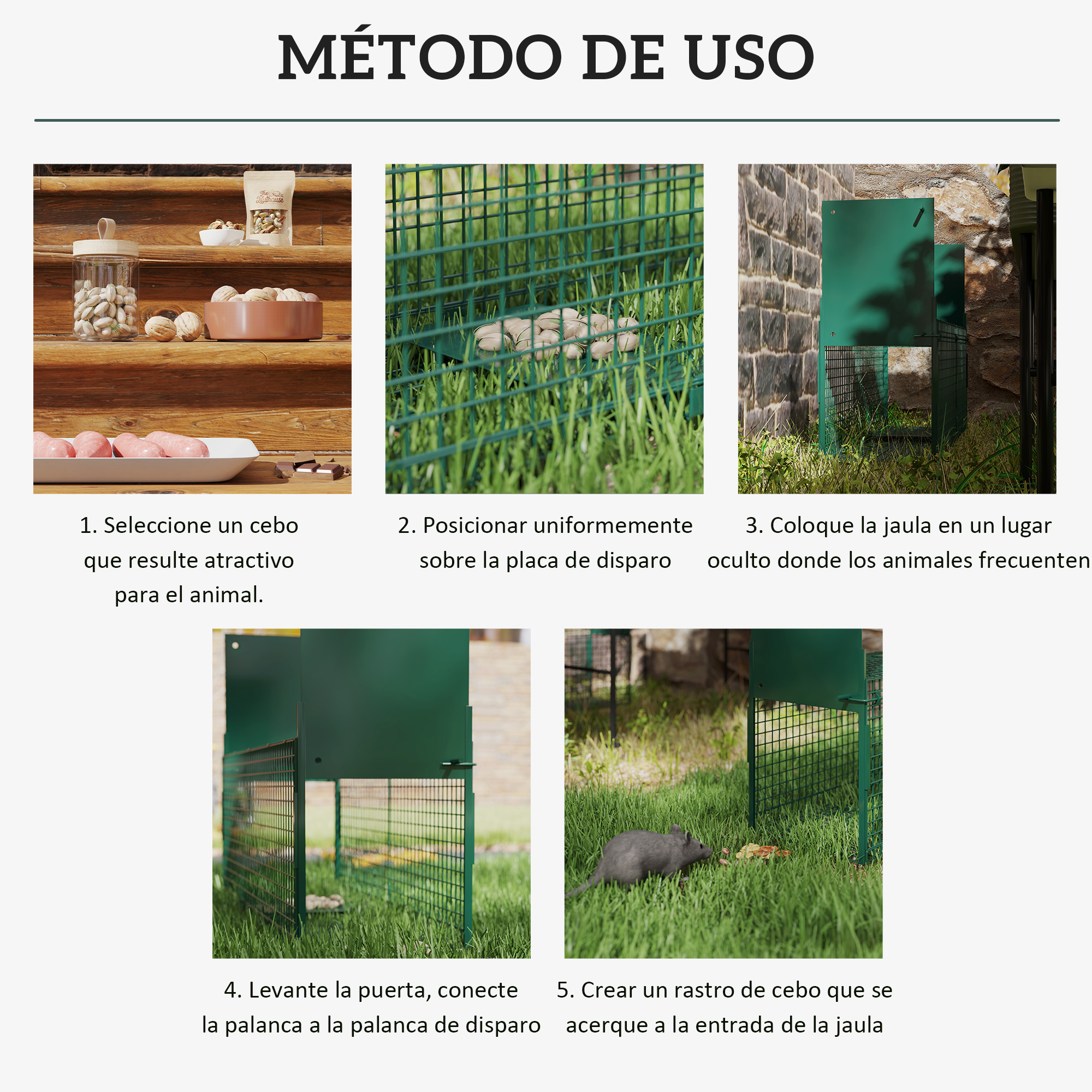 Guía paso a paso para usar una trampa verde para animales con cebo.