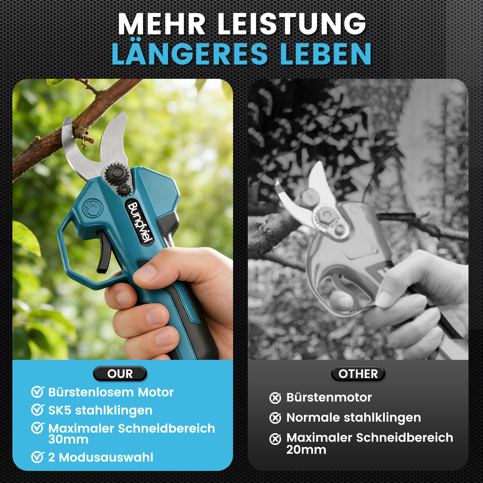 Zwei Gartenscheren im Vergleich: Eine blaue mit Text, eine graue ohne.