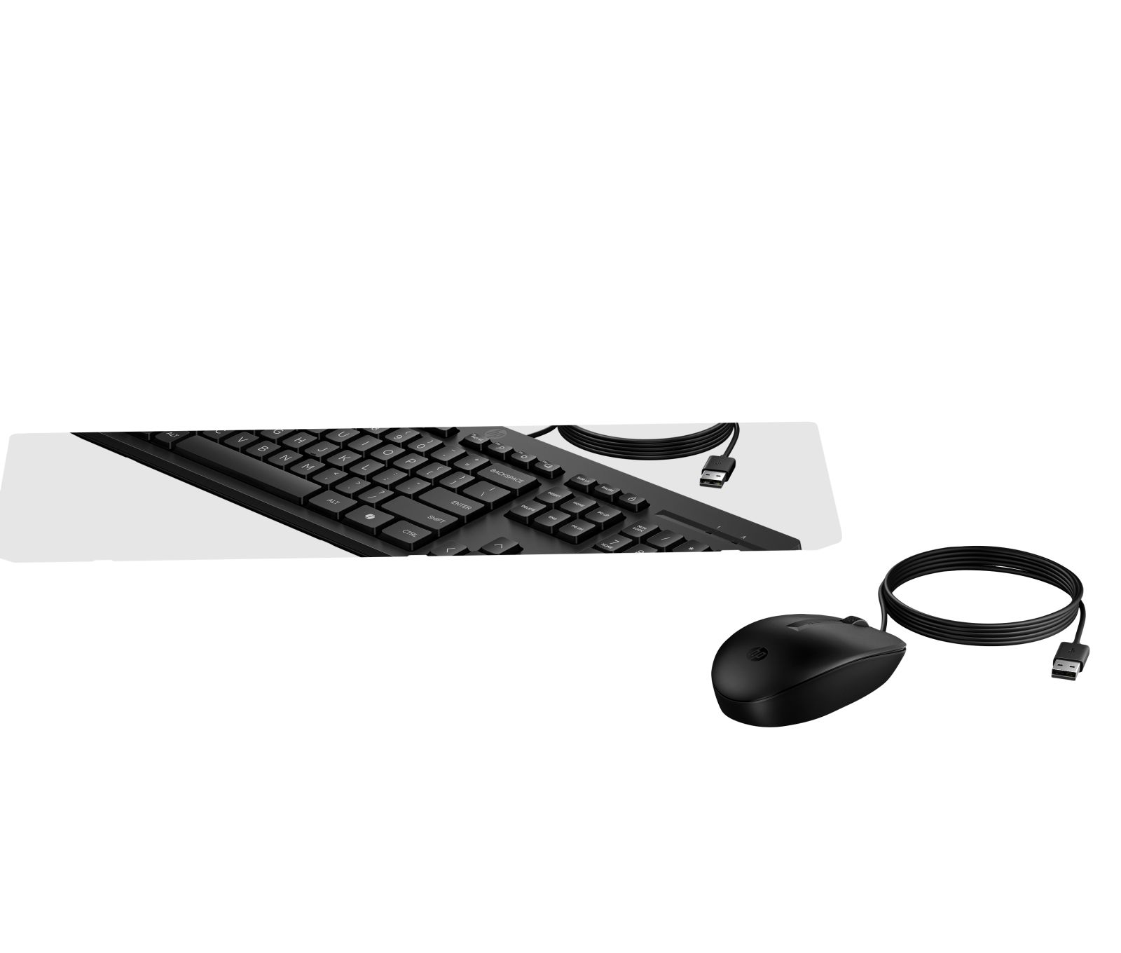 Tastiera e mouse USB neri con cavo su sfondo bianco.