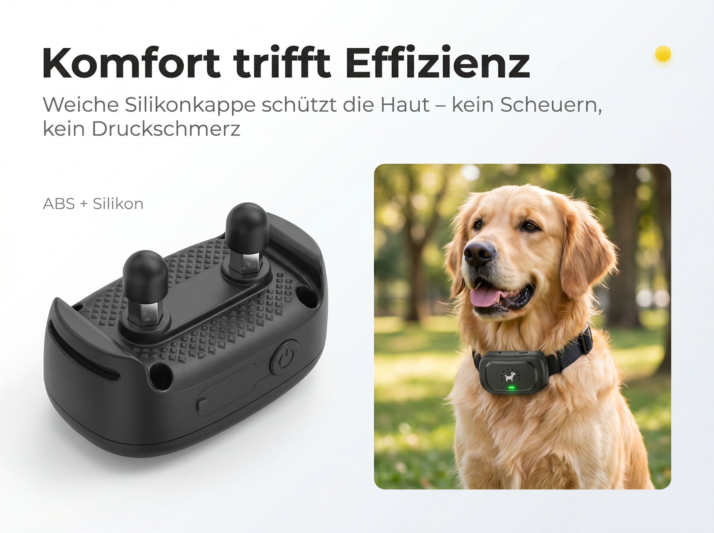 Ein Golden Retriever trägt ein schwarzes Halsband mit einem Gerät.