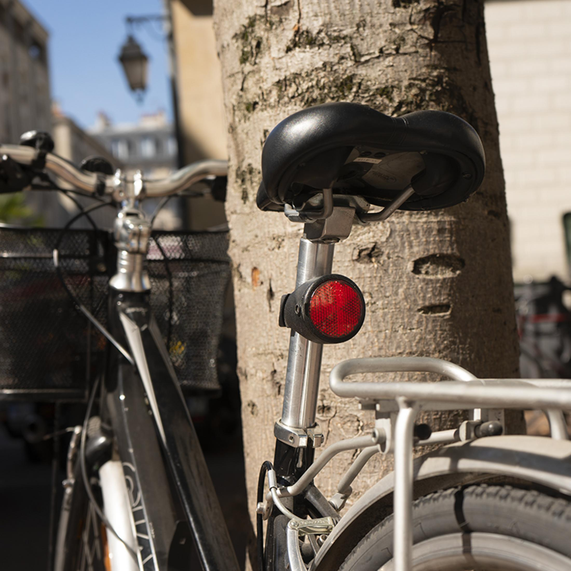 Ein schwarzes Fahrrad mit Korb ist neben einem Baum geparkt. Ein roter Reflektor ist sichtbar.