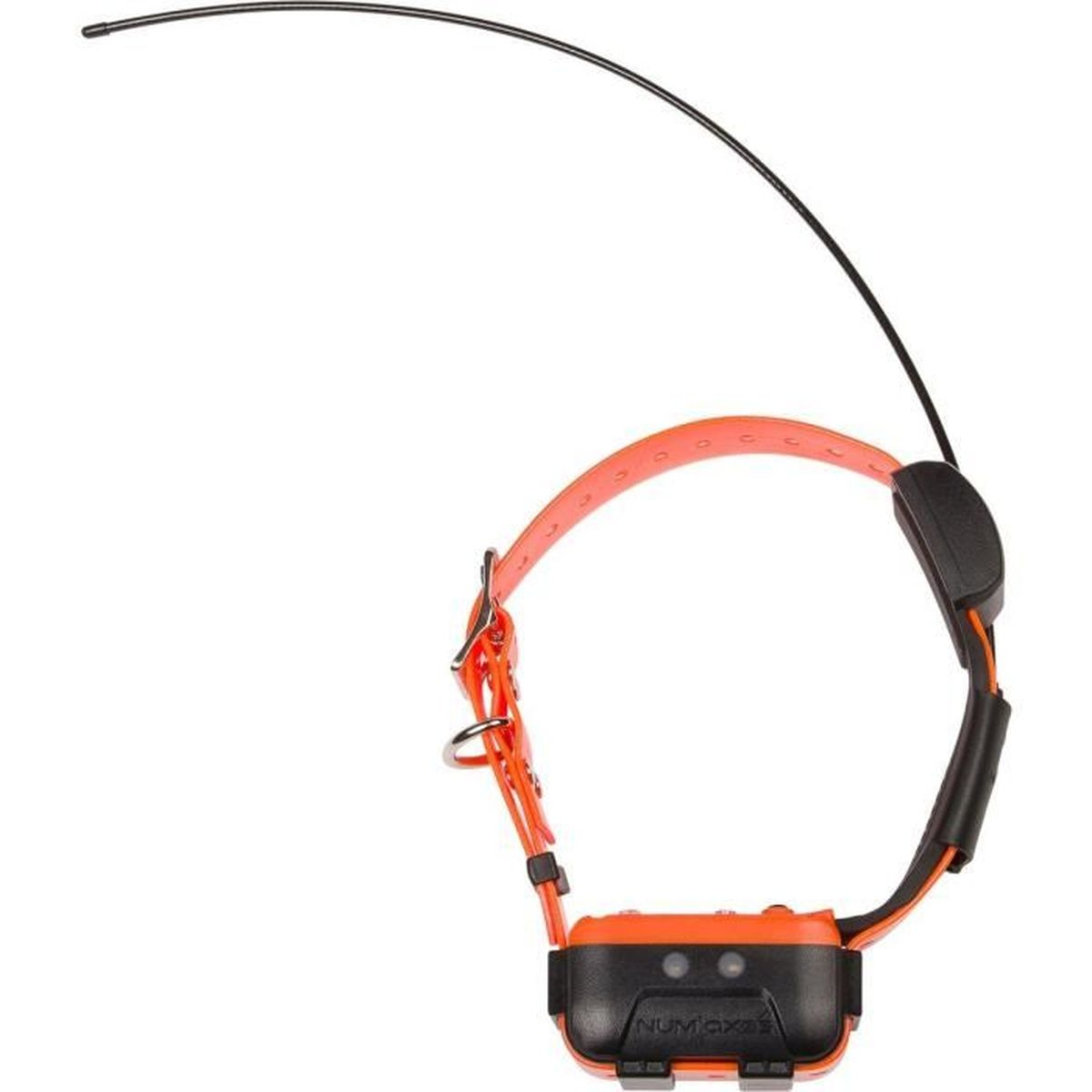 Ein orangefarbener Hundehalsband-Sender mit schwarzer Antenne und silberner Schnalle.