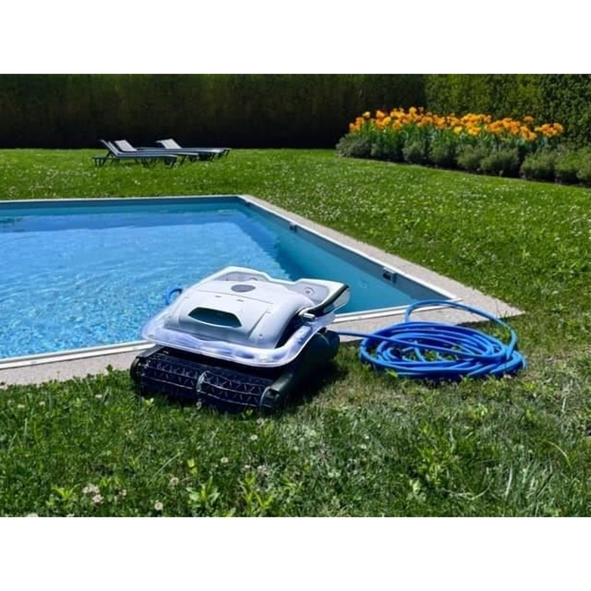 Ein Roboter-Poolreiniger mit blauem Schlauch steht auf Gras neben einem Pool.