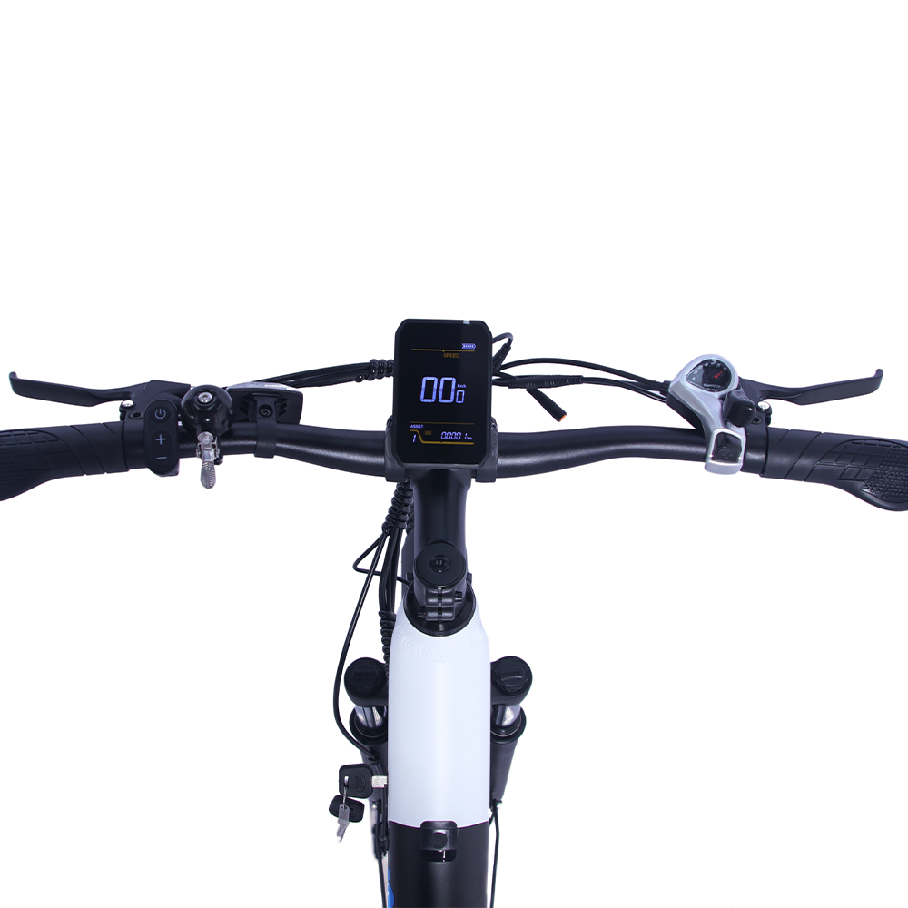 Lenker eines Elektrofahrrads mit Display, Griffen und Bremsen.